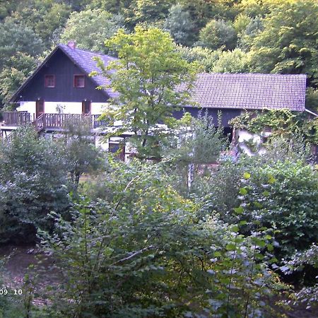 Neumuehle Ferienwohnung 2 Lutzerath エクステリア 写真