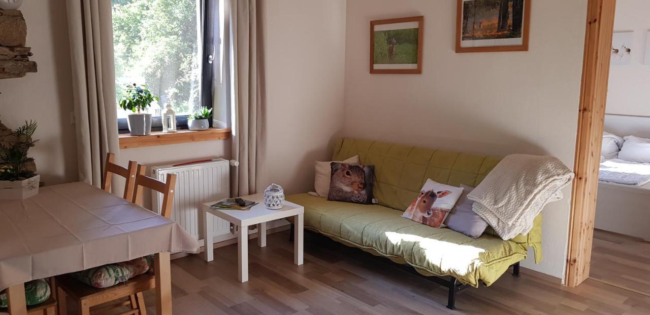 Neumuehle Ferienwohnung 2 Lutzerath エクステリア 写真