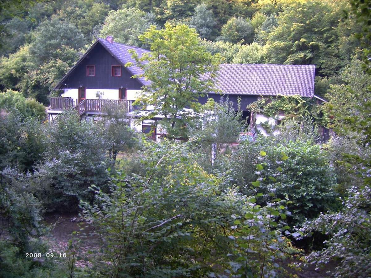 Neumuehle Ferienwohnung 2 Lutzerath エクステリア 写真